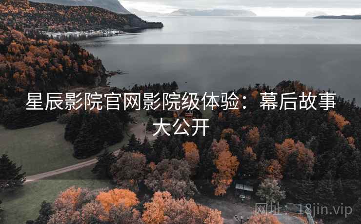 星辰影院官网影院级体验：幕后故事大公开